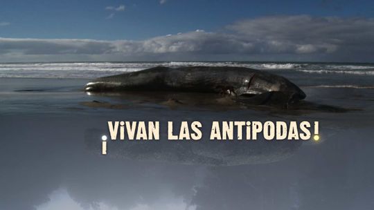 ¡Vivan las Antípodas!