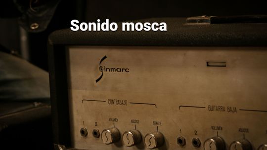 Sonido mosca