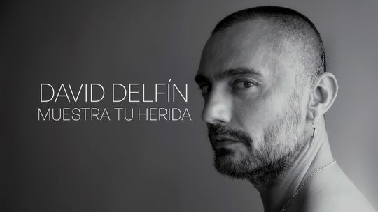 David Delfín. Muestra tu herida