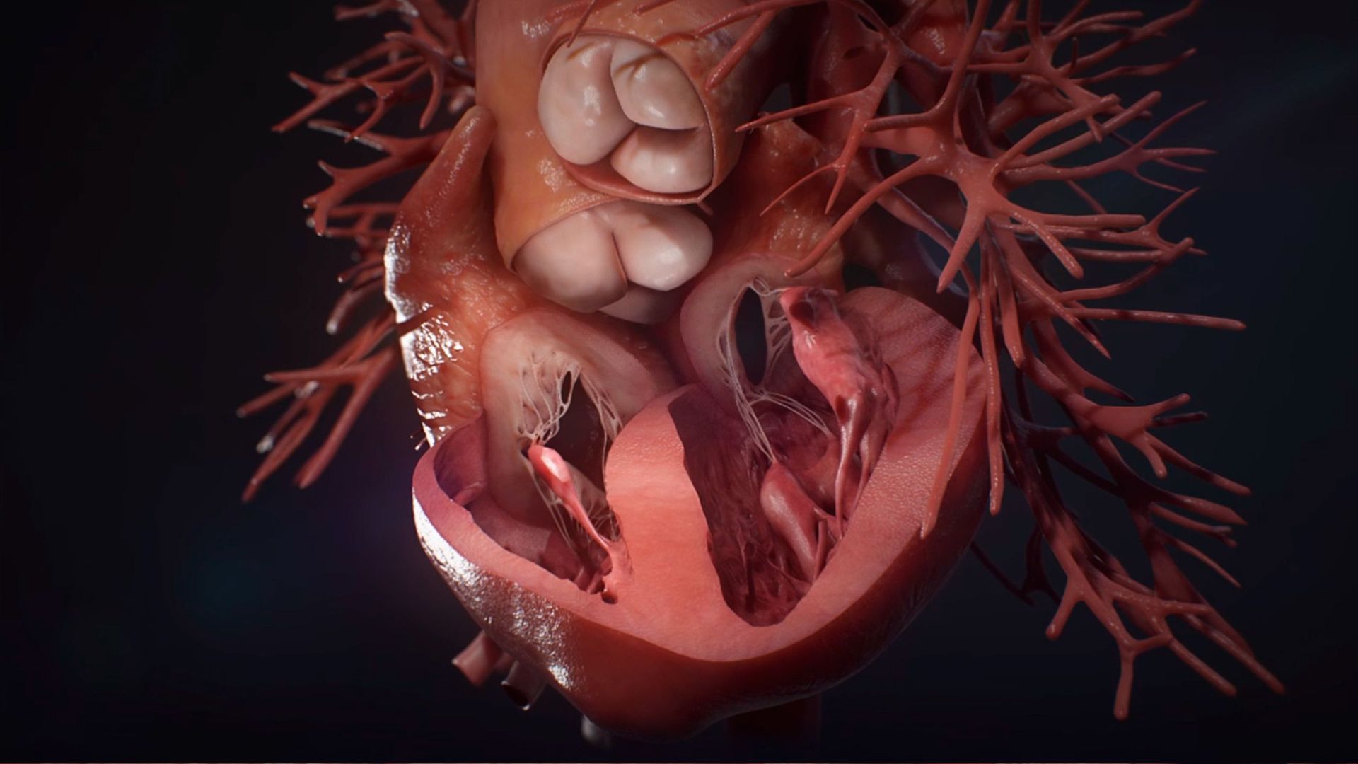 Cuando falla el motor