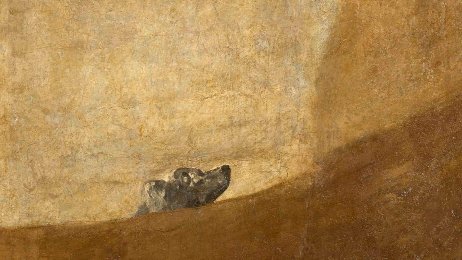 El porqué de las Pinturas negras