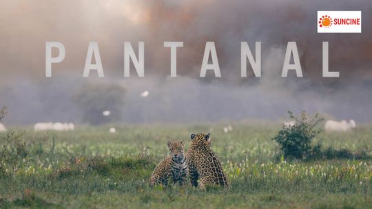 Pantanal