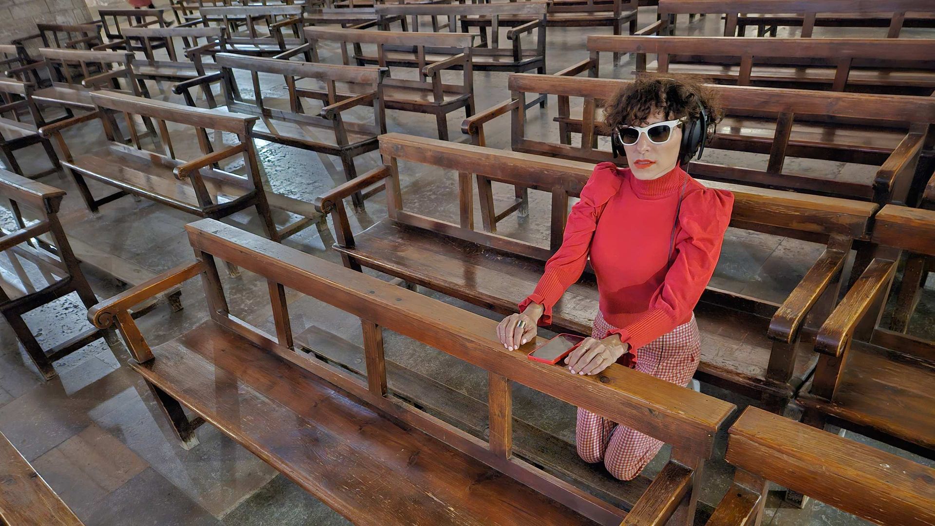 También los monos son pájaros