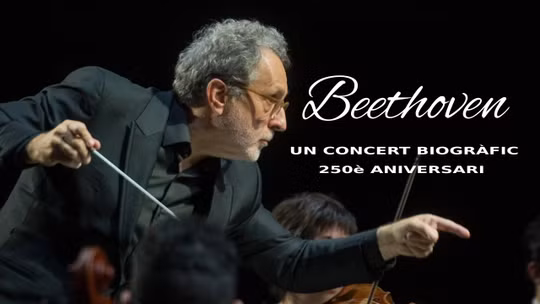 Beethoven 250