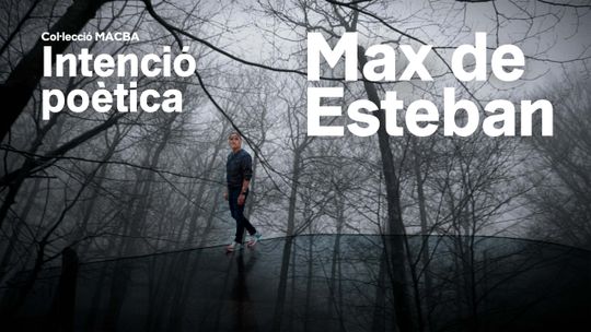 Colección MACBA. Intención poética. Max de Esteban