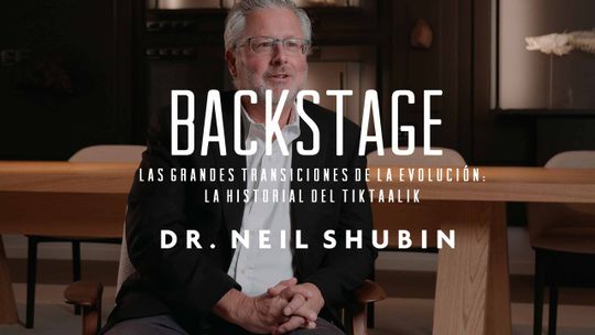 Backstage. Neil Shubin