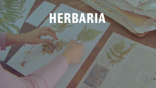 Herbaria