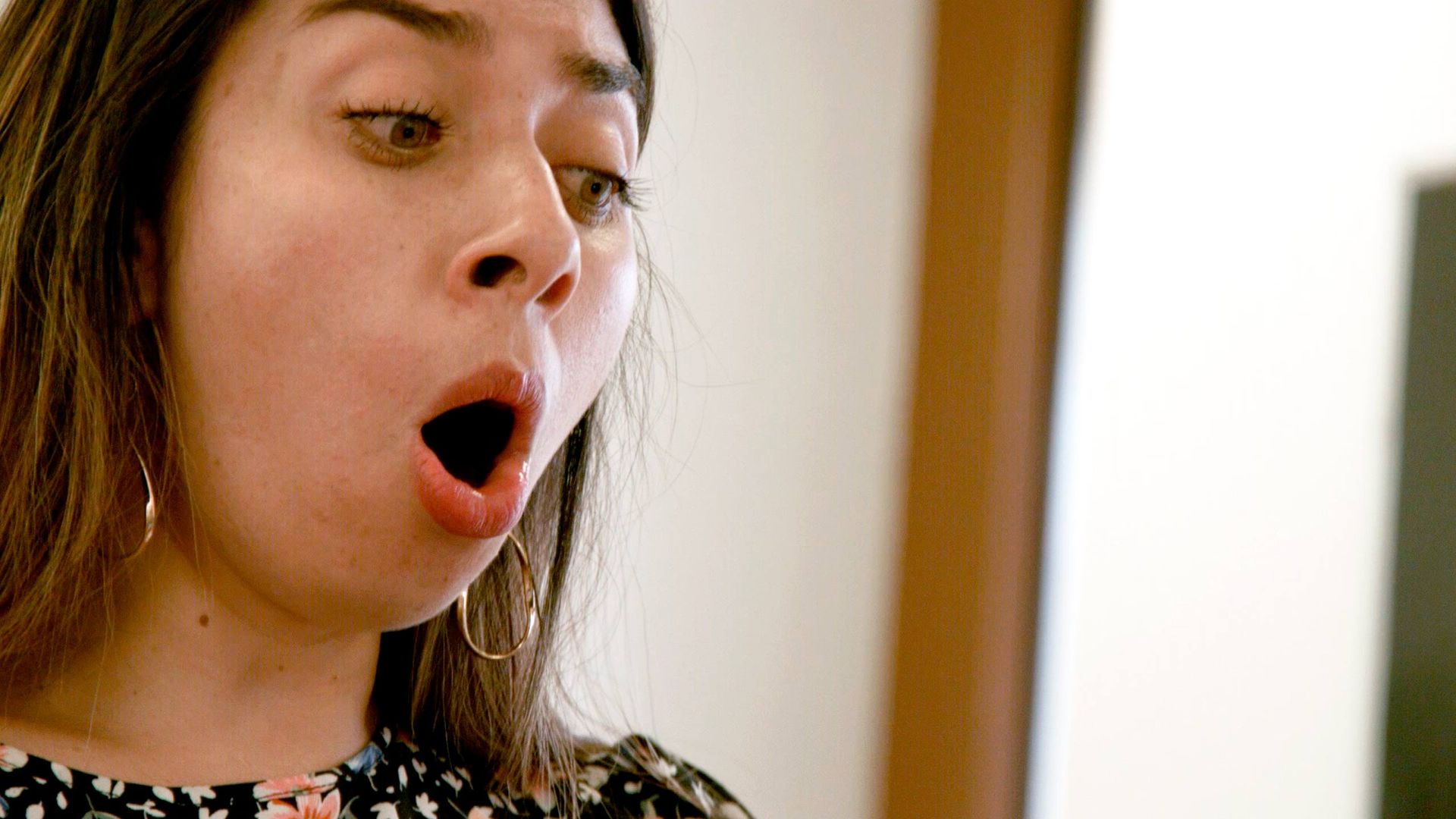 Descubriendo el canto: vocalización