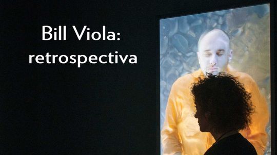 Bill Viola: retrospectiva