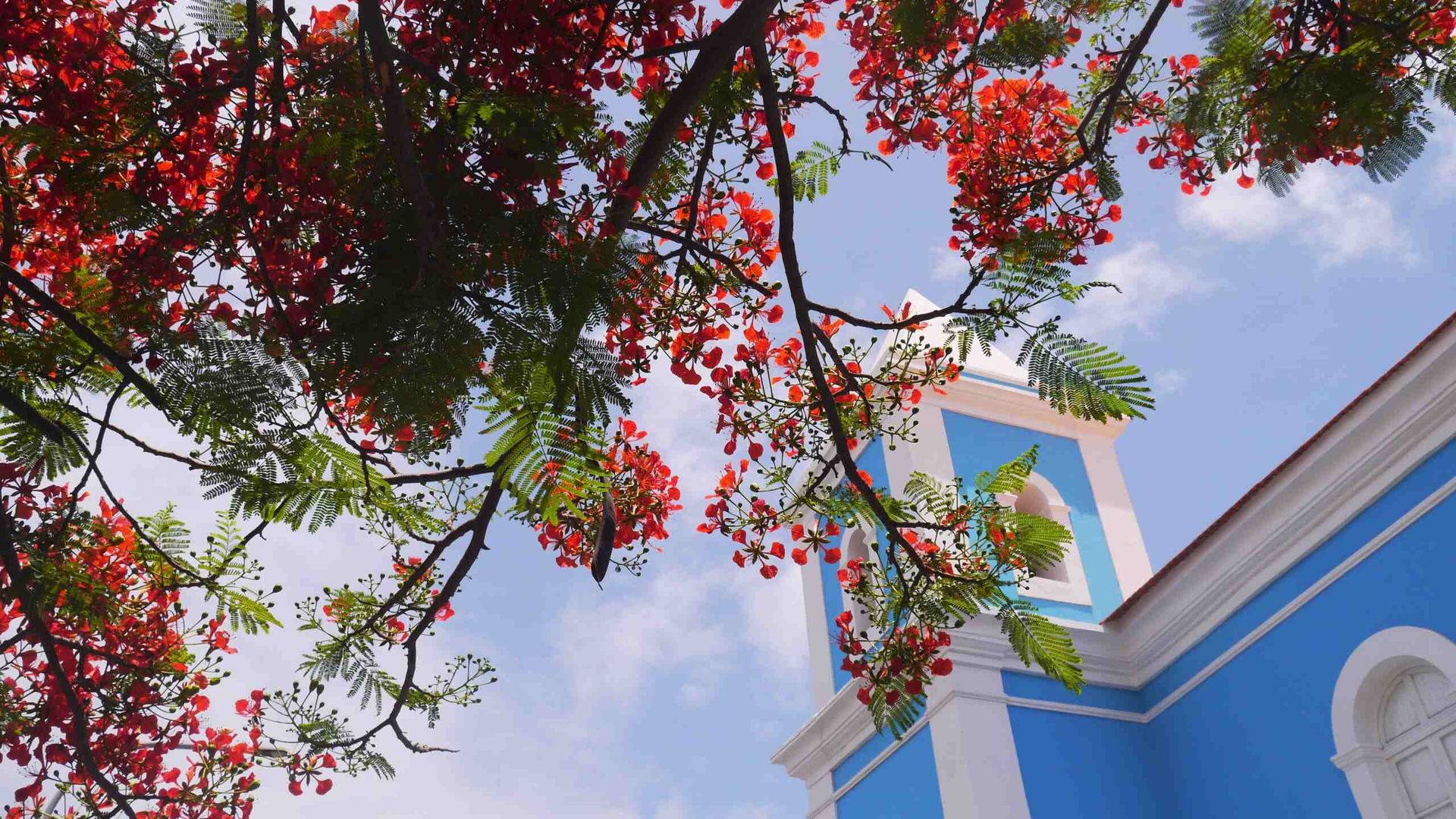 Travelling Series: Cabo Verde
