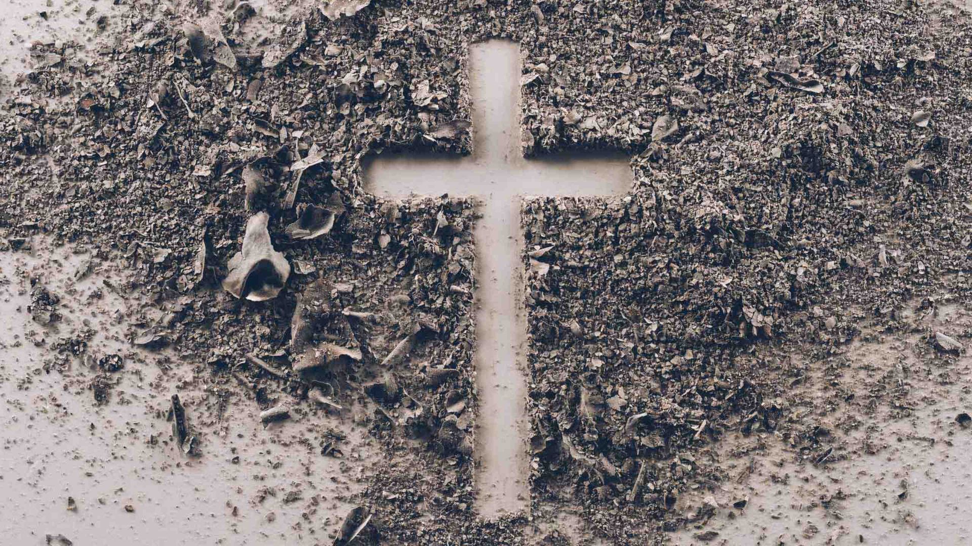 Y esta semana… Leemos en compañía de la escritora Brenda Navarro 