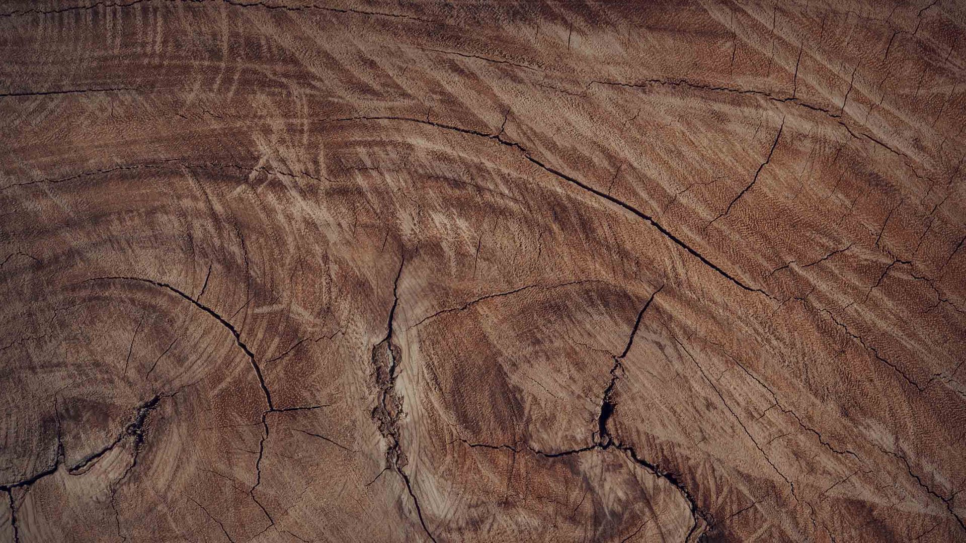 Woodstories