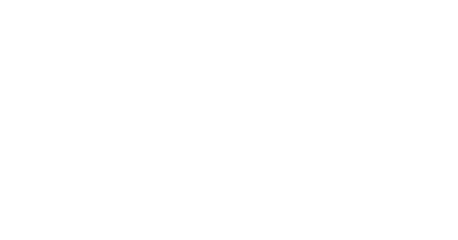 El limpiabotas