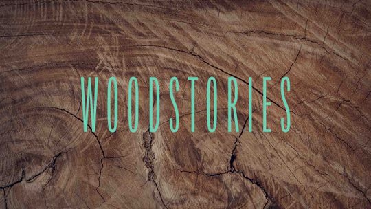 Woodstories
