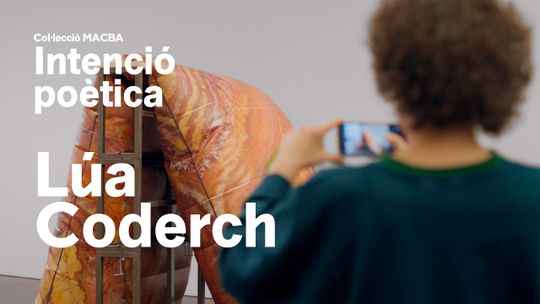 Colección MACBA. Intención poética. Lúa Coderch