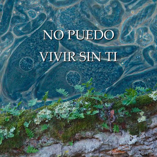 No puedo vivir sin ti - CaixaForum+