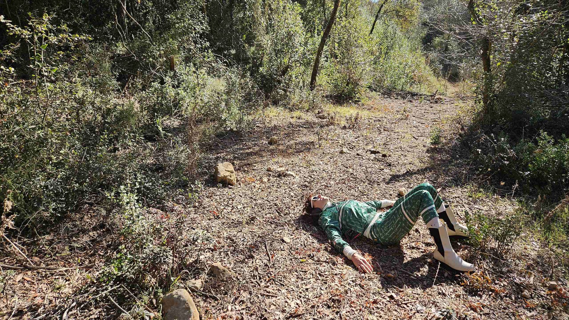 El bosque adentro. Alberto Conejero