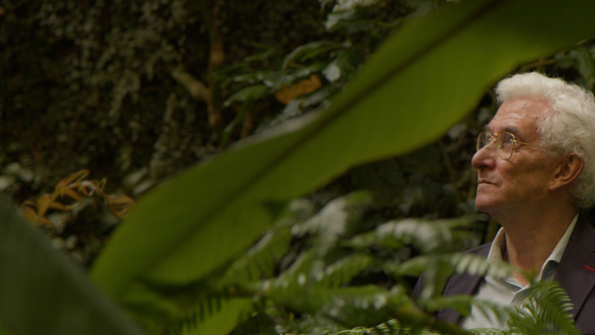 La expedición botánica de Mutis