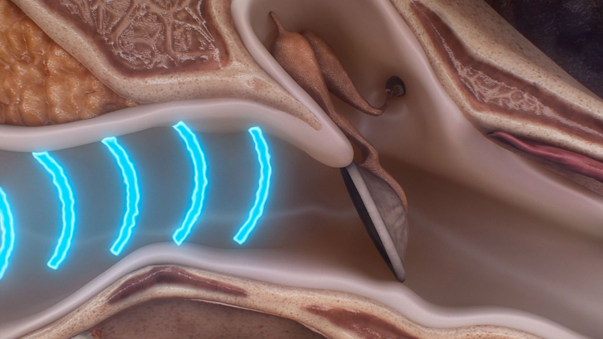 Te oigo pero no te escucho