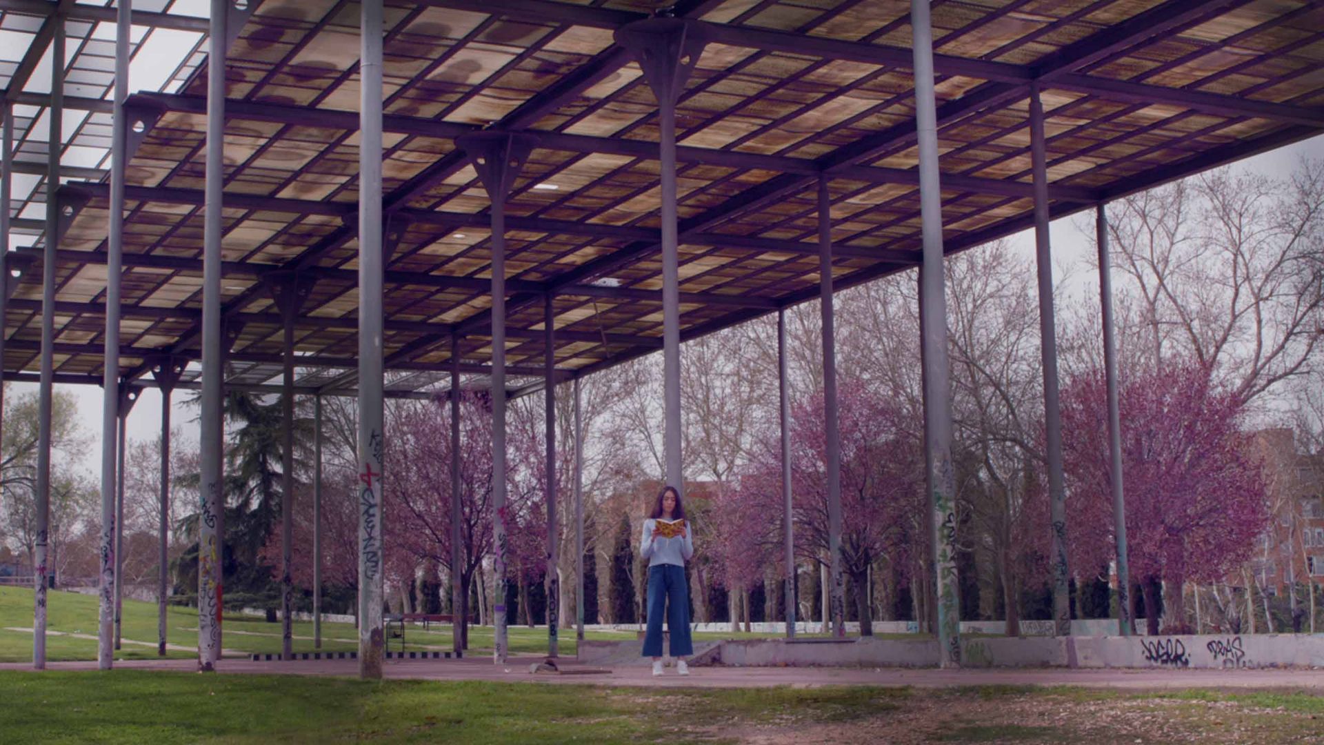 Emergentes Diálogos Dramáticos