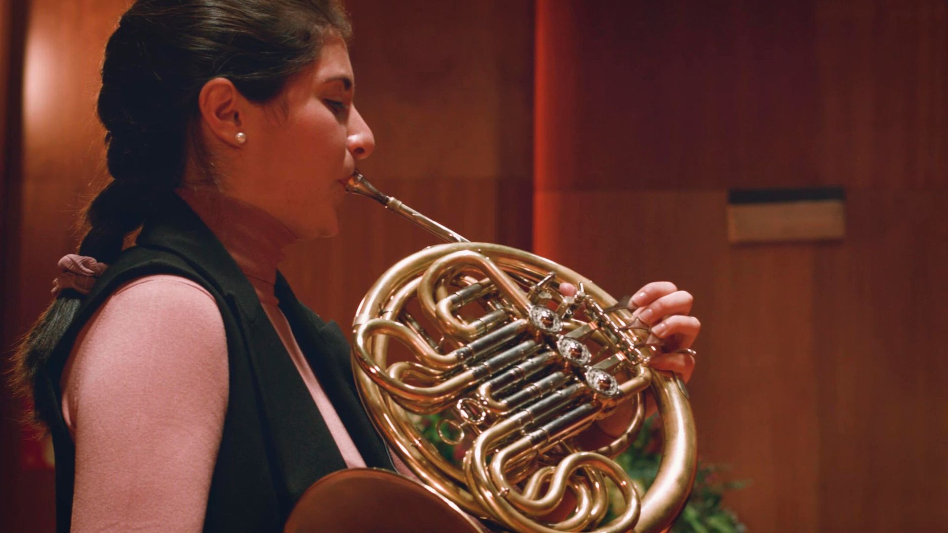 Desmontando la orquesta: La Trompa