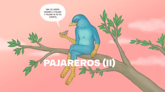 Pajareros (parte 2)