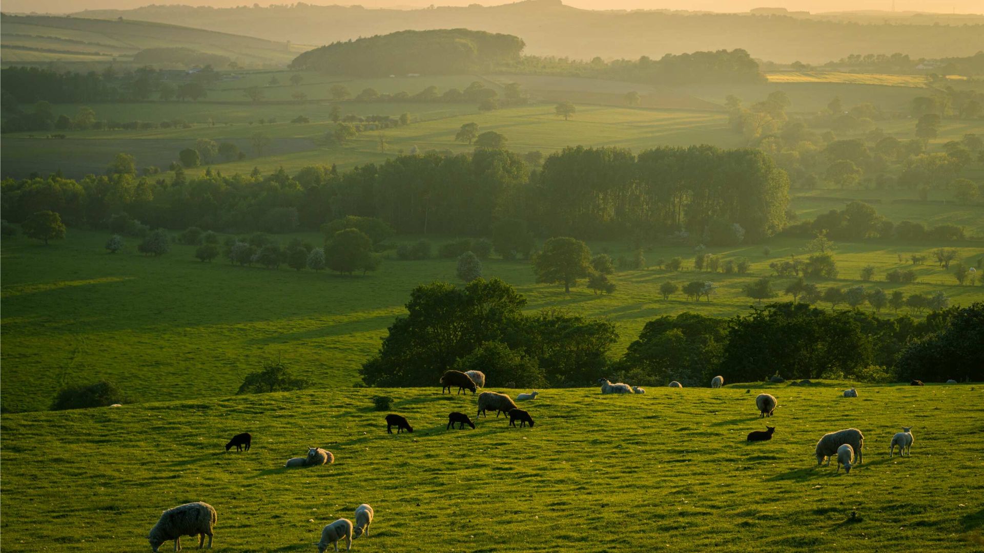 Travelling Series: Yorkshire