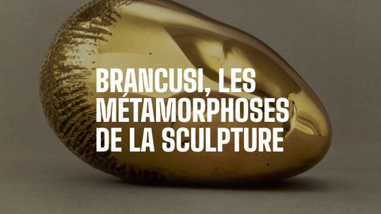 Brancusi, les métamorphoses de la sculpture