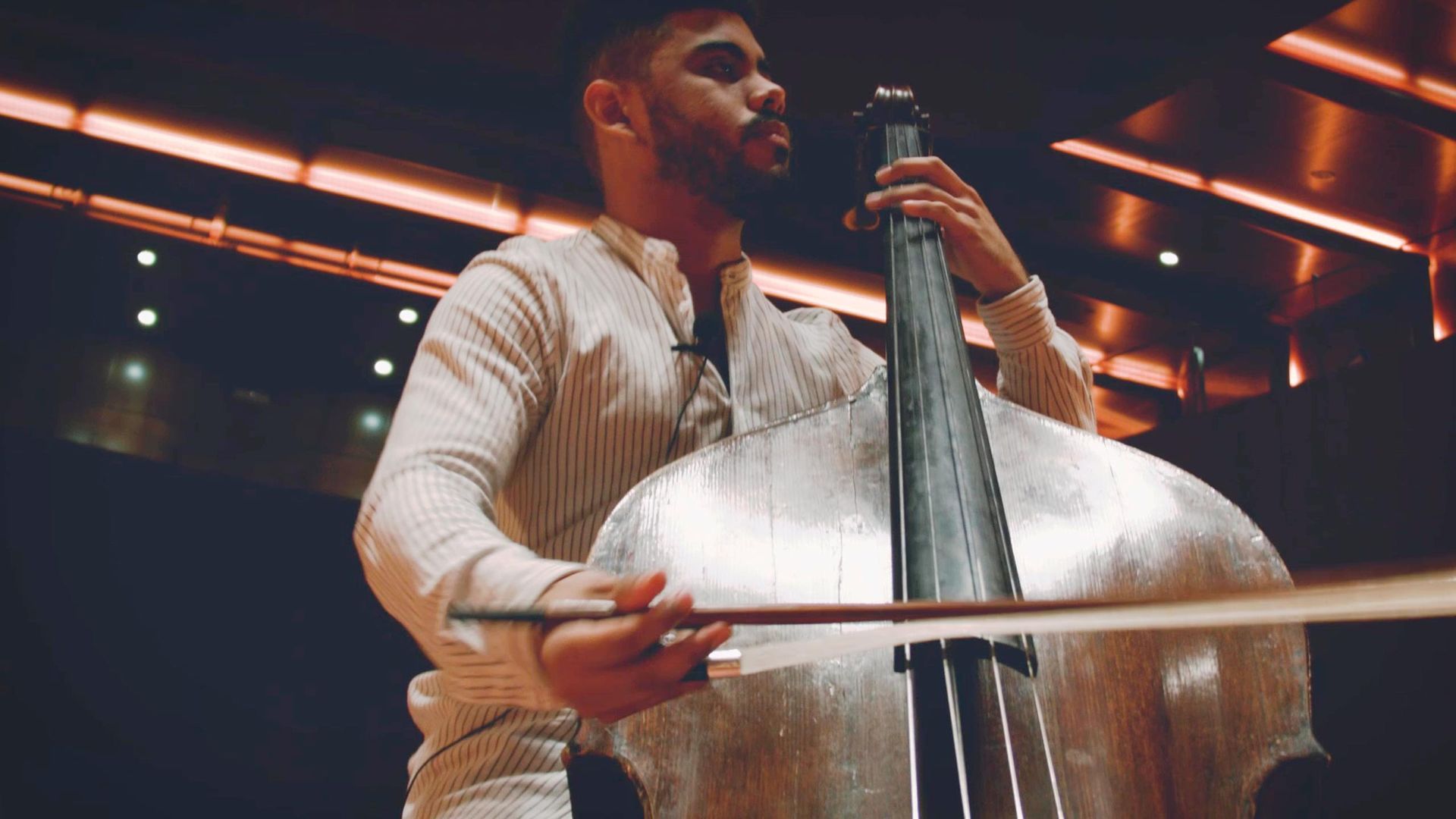 Desmontando la orquesta: El Contrabajo