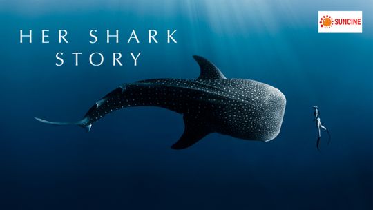 Her Shark Story (Sofía y el tiburón)