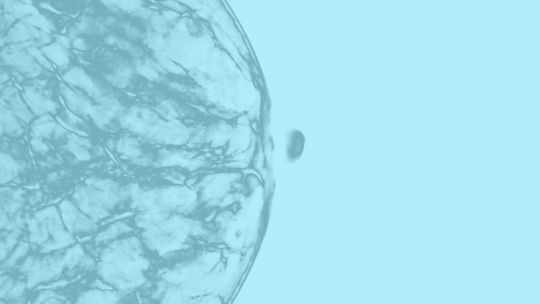 Capítulo 8. Mama en postparto vs. Ciencia