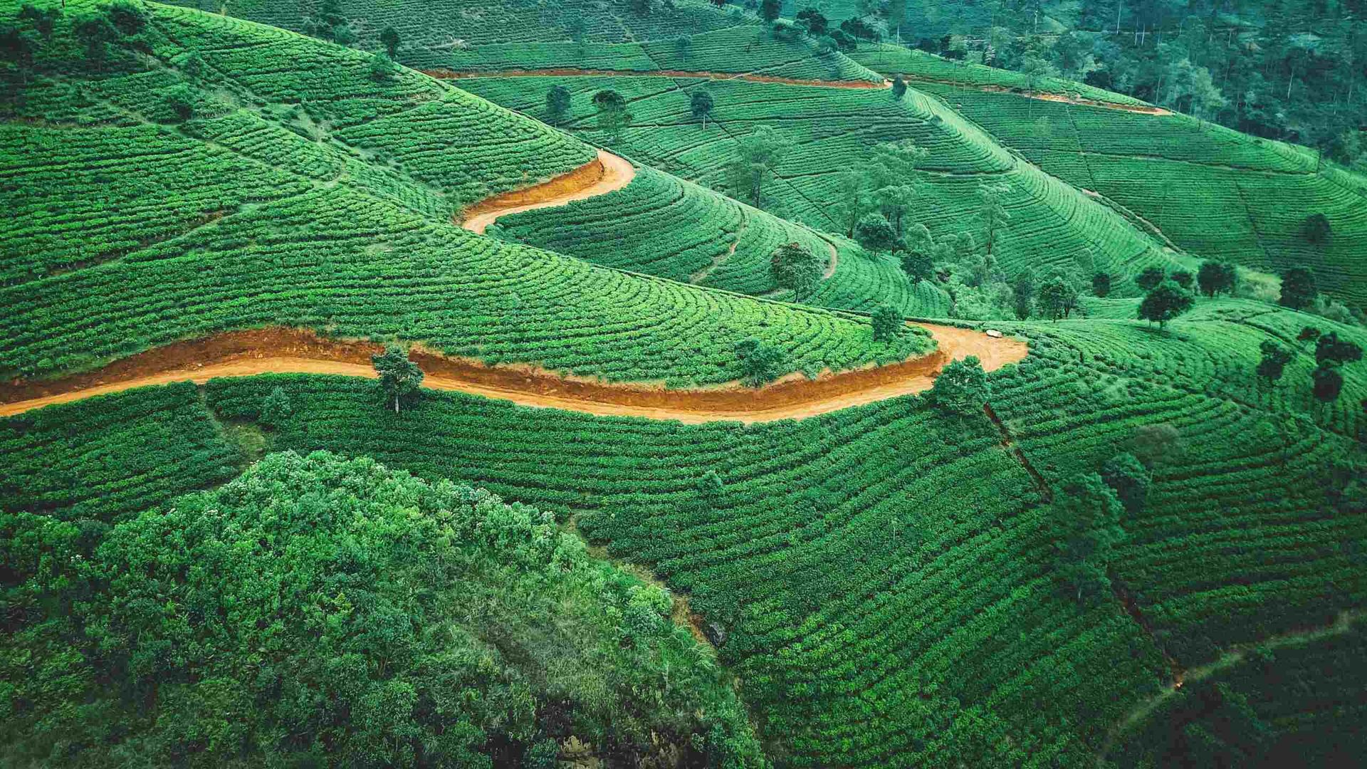 Travelling Series: Sri Lanka