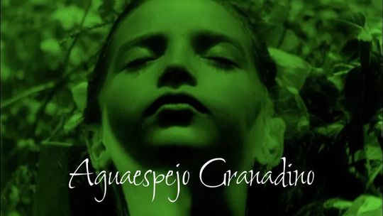 Aguaespejo granadino