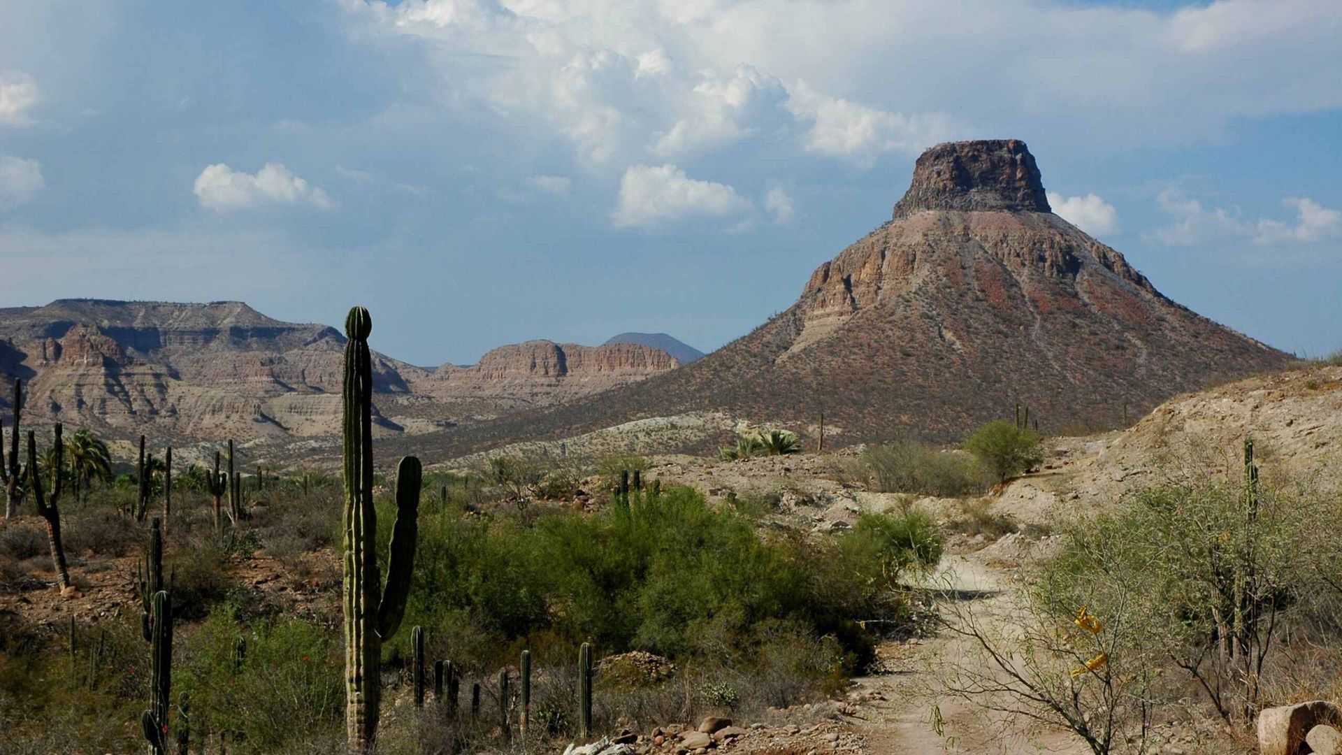 Travelling Series: Baja California Sur
