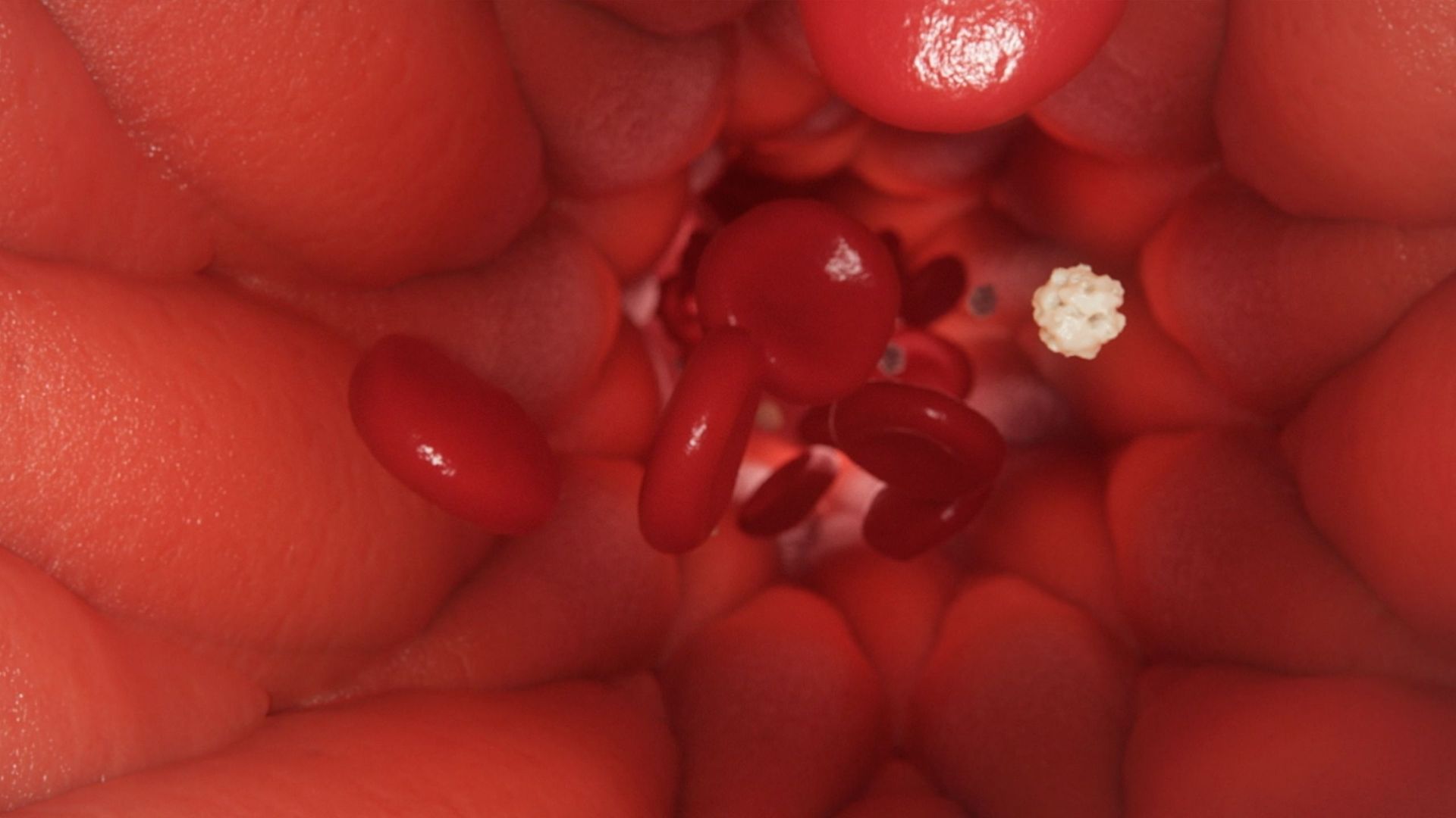 Rojo sangre