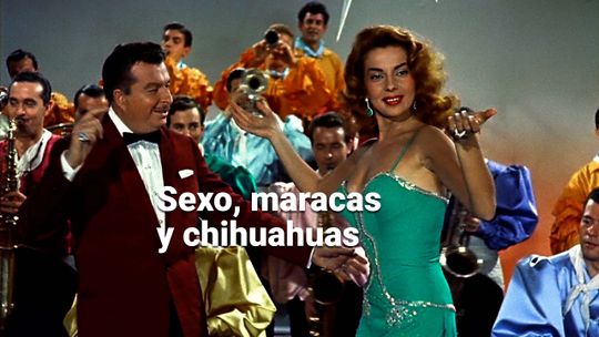 Sexo, maracas y chihuahuas