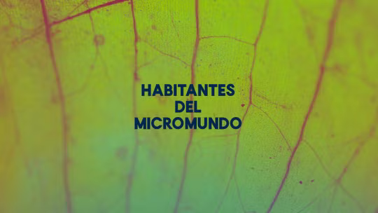 Habitantes del Micromundo