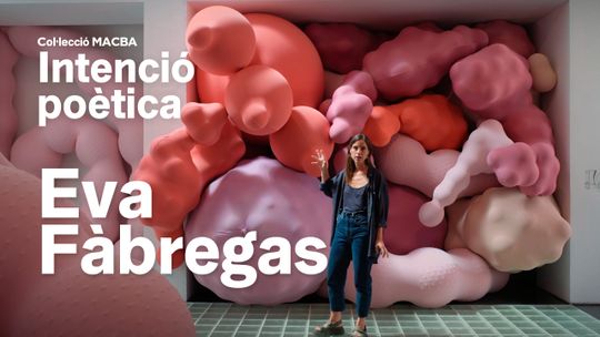 Colección MACBA. Intención poética. Eva Fàbregas