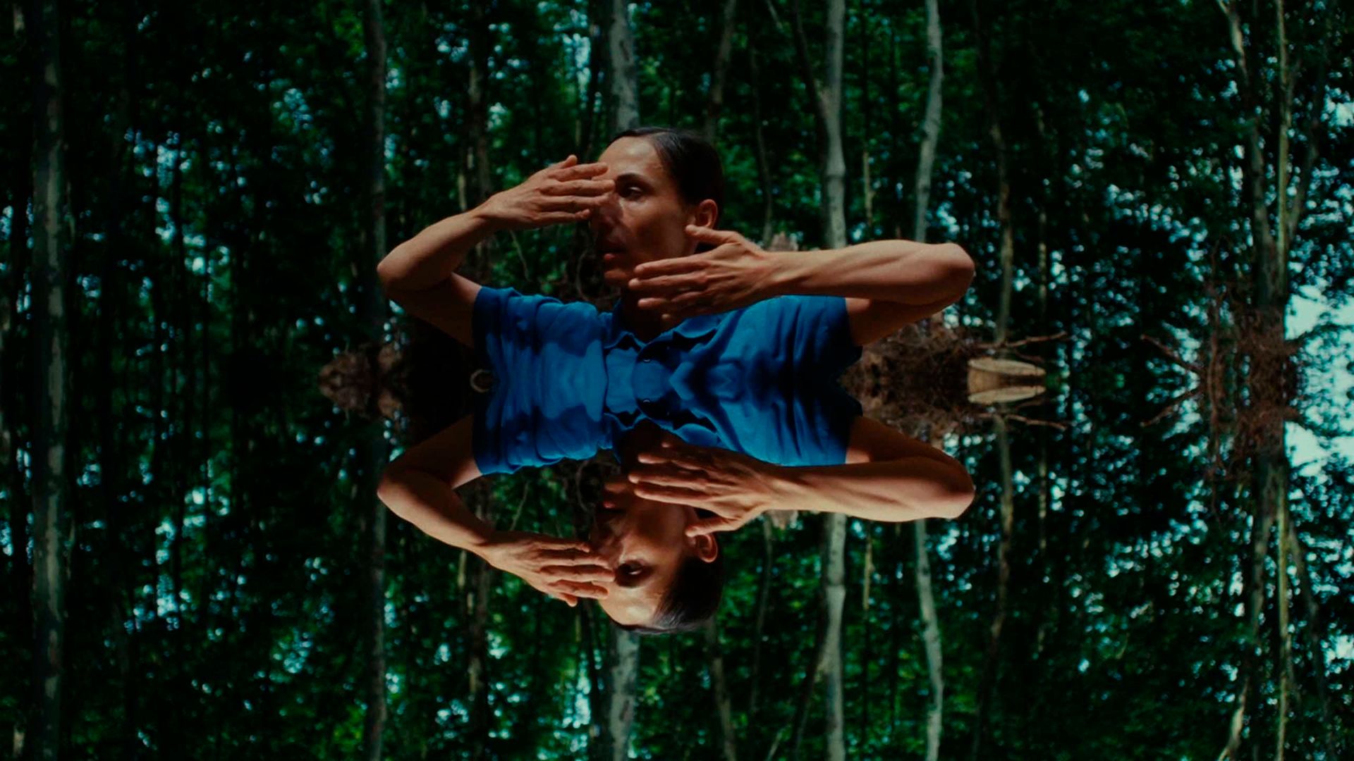 'Sonoma' (La série, pas le spectacle)