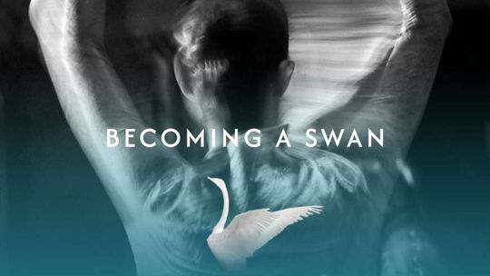 Becoming a Swan