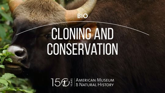 Clonación y conservación