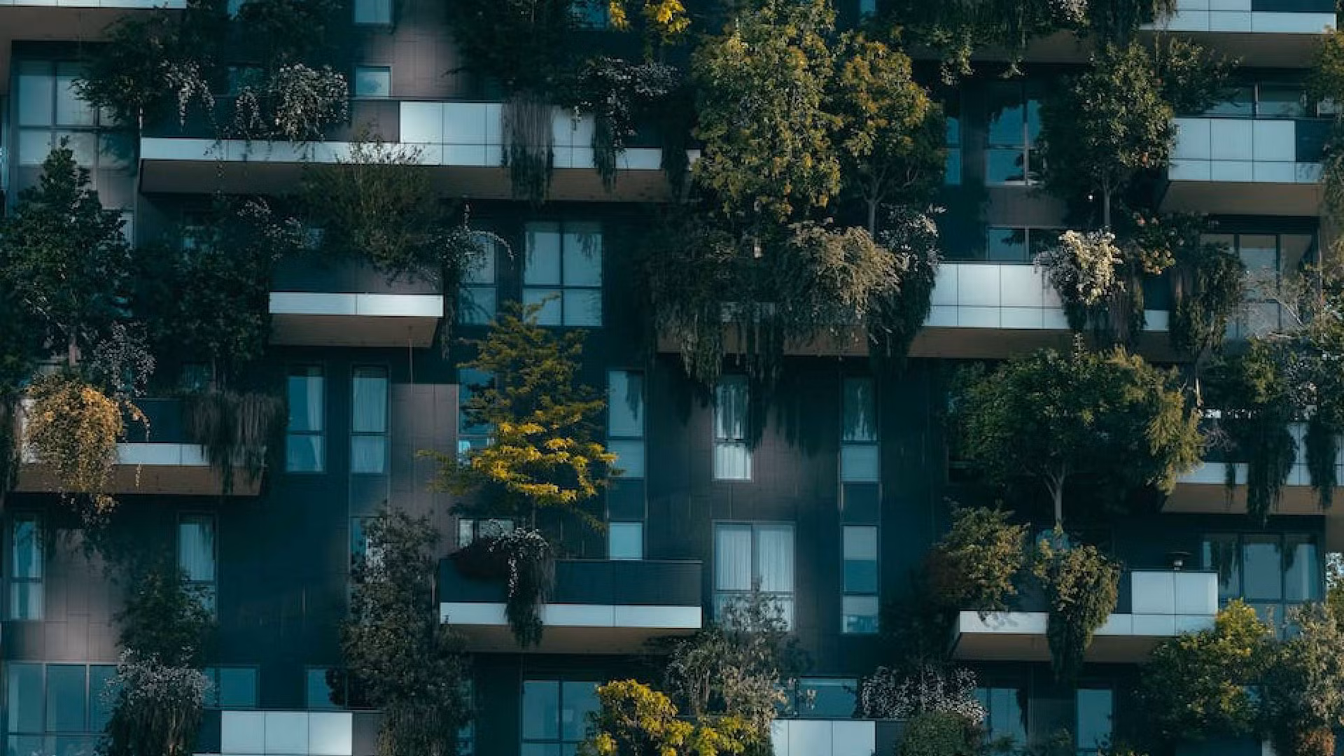 Arquitecturas Saludables