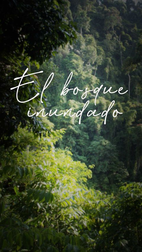 El Bosque Inundado