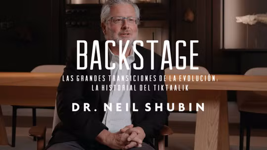 Backstage. Neil Shubin