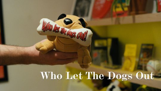 Who Let The Dogs Out