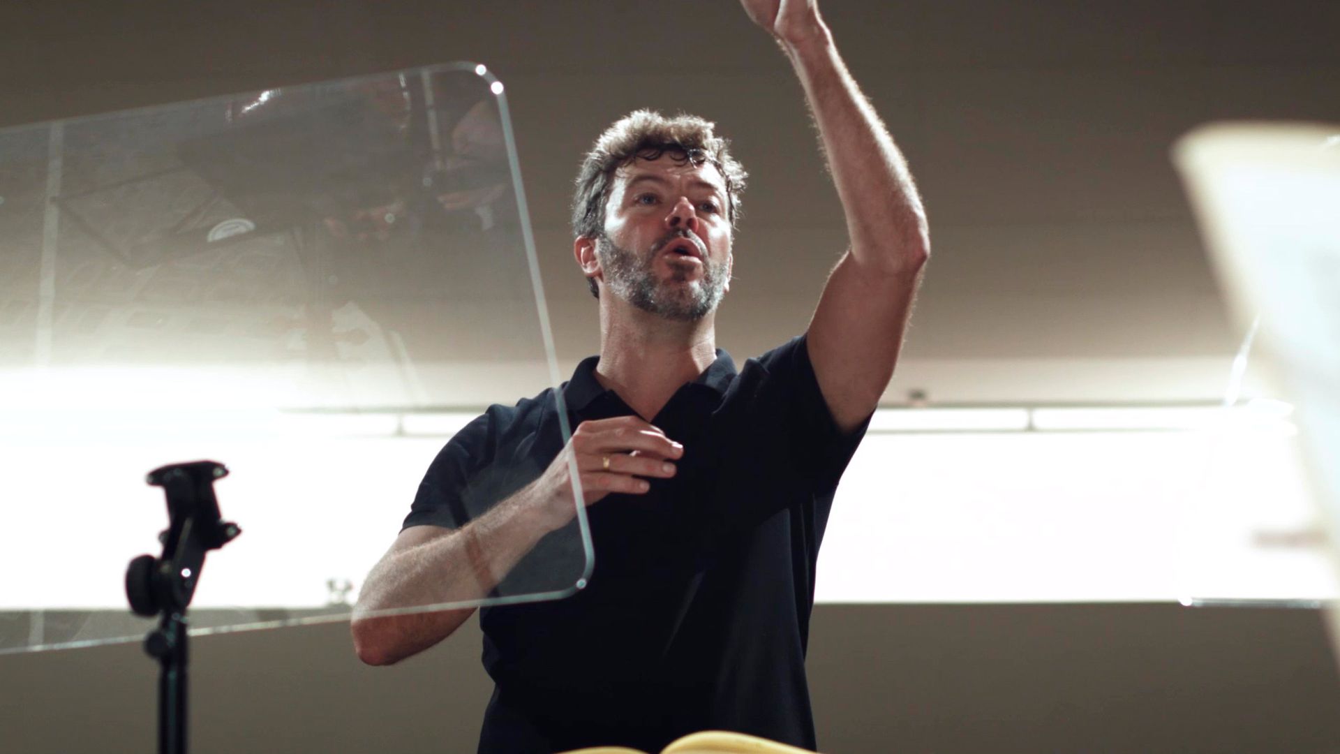 Desmontando la orquesta: El Director