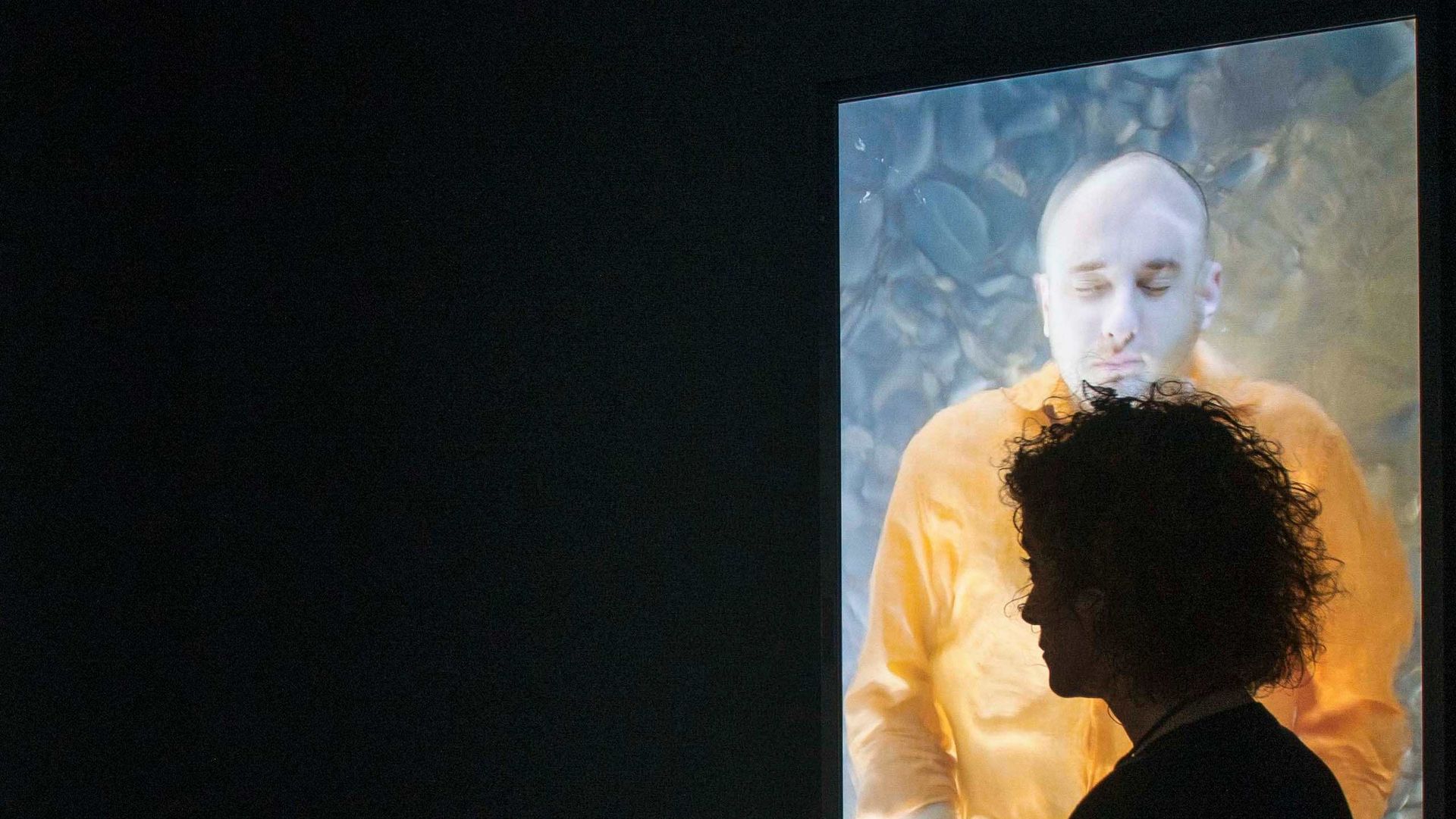 Bill Viola: retrospectiva