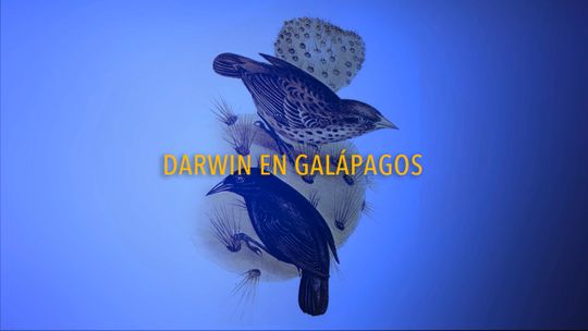 Darwin en Galápagos