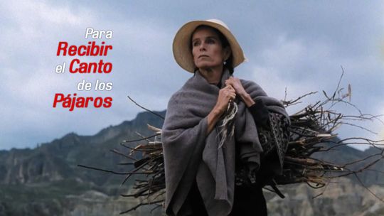 Para recibir el canto de los pájaros