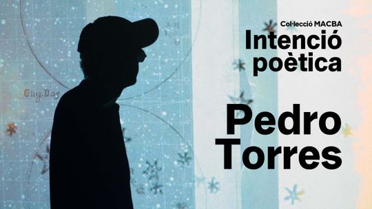 Colección MACBA. Intención poética. Pedro Torres